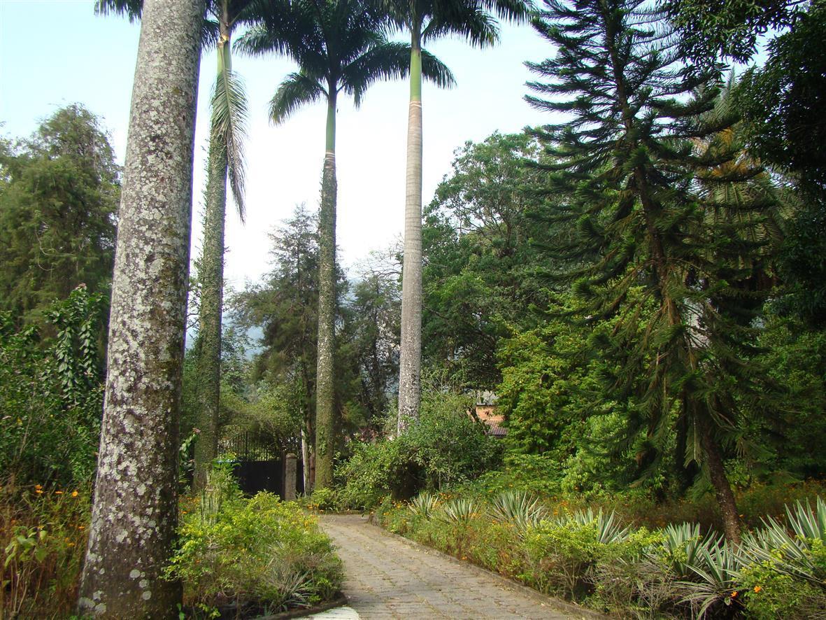 مبيت وإفطار كاشويراس دي ماكاكو Casa De Campo Dos Sonhos المظهر الخارجي الصورة